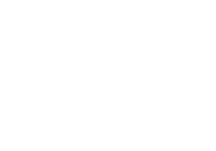 Arzi Stiftung